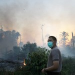 Pembakaran Hutan VS Pembuangan Energi